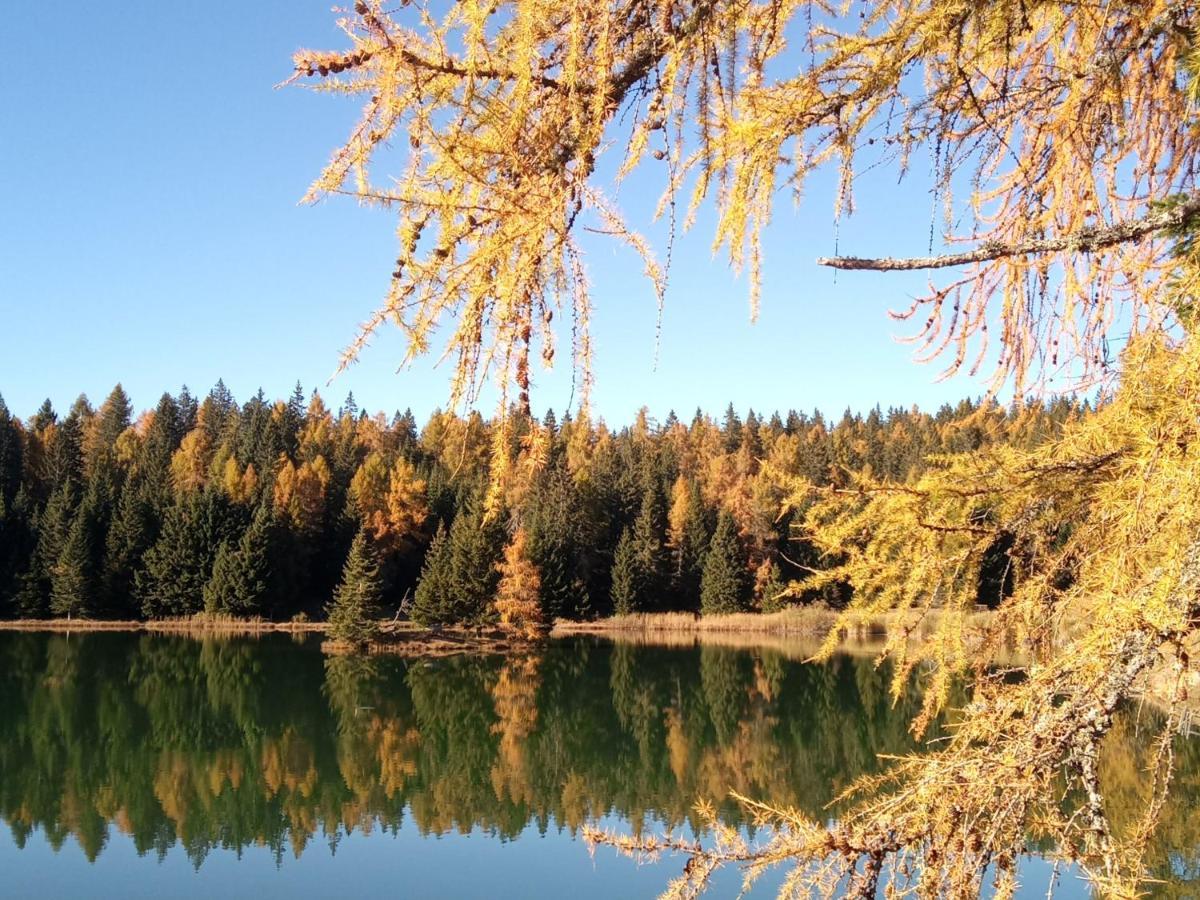 Pension Dolomitenblick เตซิโม ภายนอก รูปภาพ
