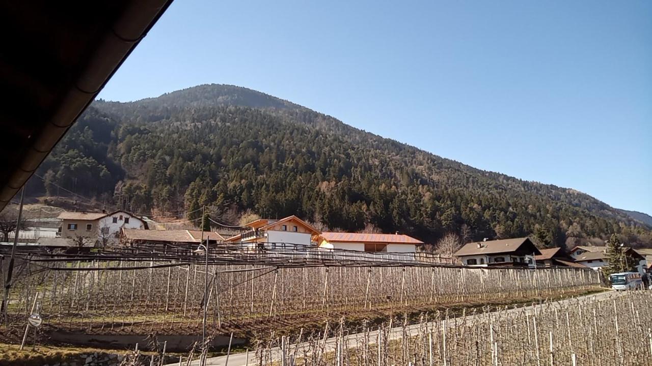 Pension Dolomitenblick เตซิโม ภายนอก รูปภาพ